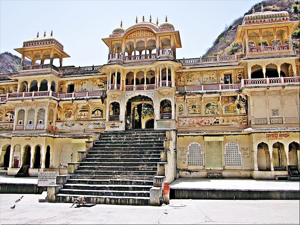 Galtaji or monkey temple.& you can see hole temple on a TV program of National Geographic Channel - Monkey Thieves. on you tube. by pradeep kumar chatterjee