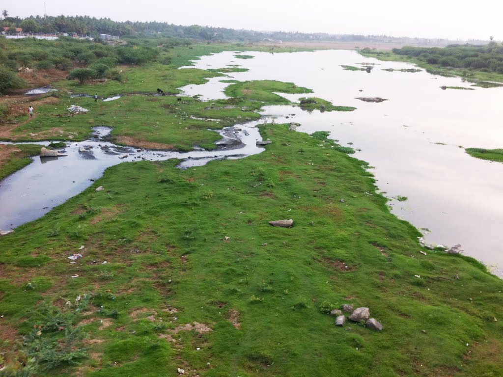 Train Scenery - Karur by Abu Aqeel