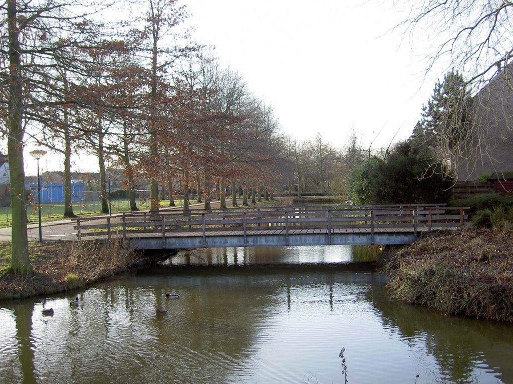 Fazanten-Reigers-kamp Maarssen. by benvanloozenoord