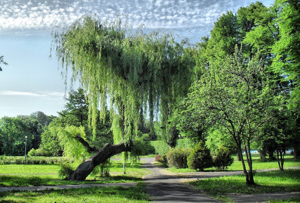 Park Steffensa by gda.pl