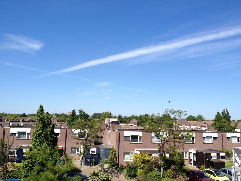 On the roof rivierenwijk, north side by magielse