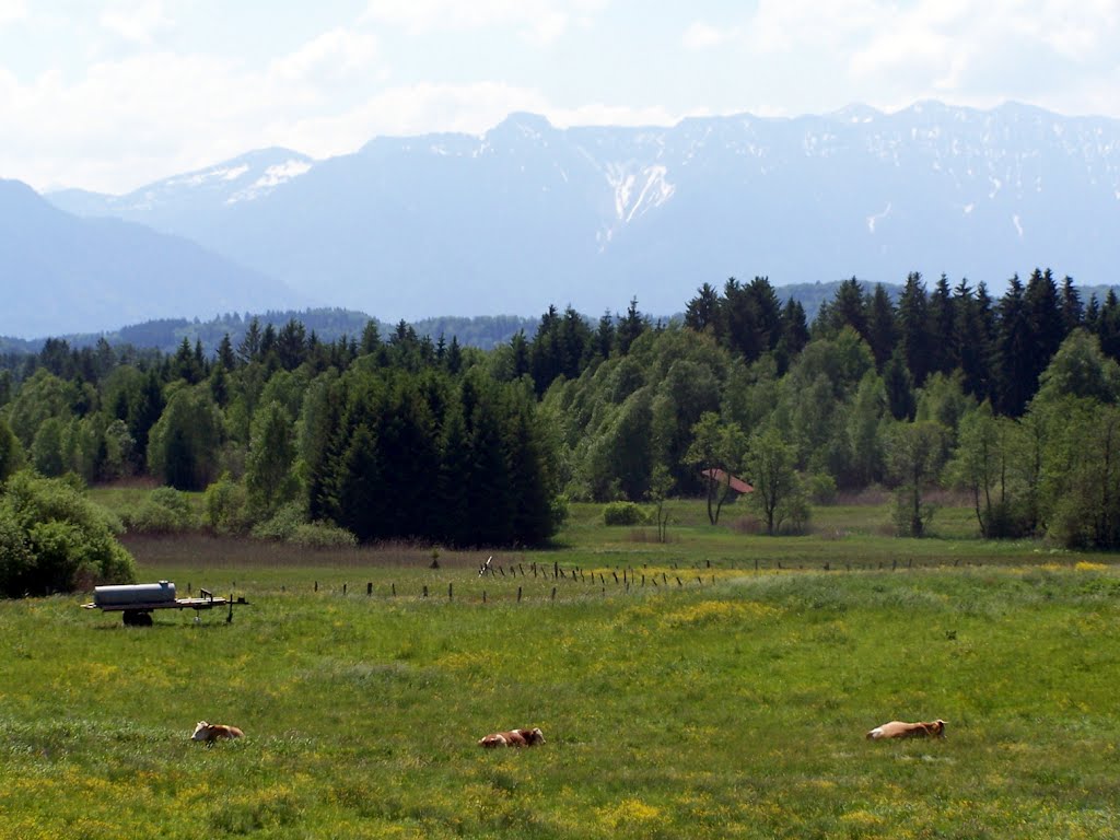 Blick zum Rothenfilz by dietmarproske