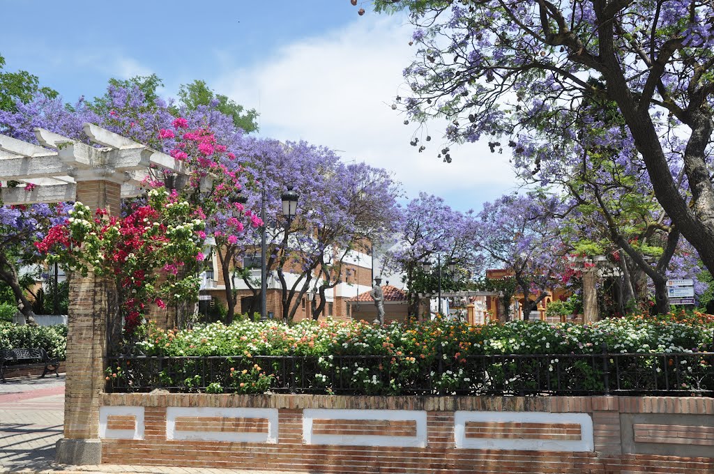 Plaza El Poeta Jimenez Barberi. by John Cotter