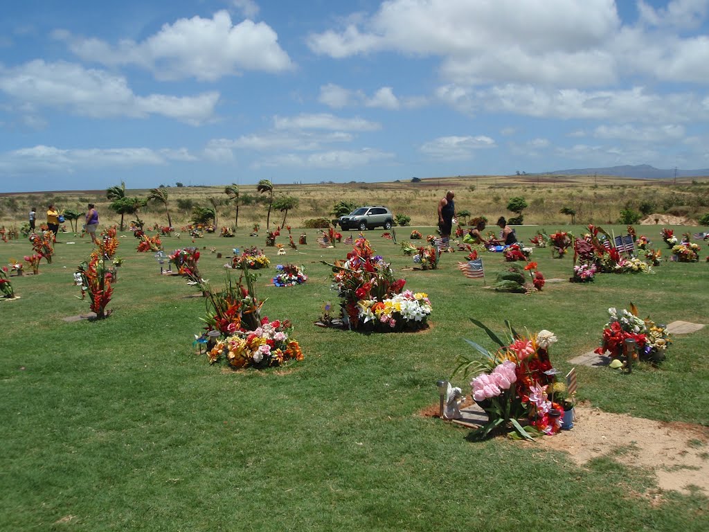 Veteran's Cementary Kauai by marylohr