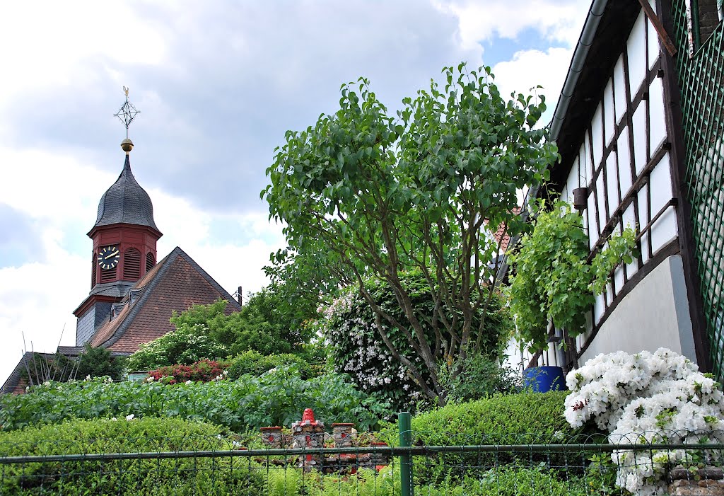 Wiesbaden Alt-Auringen, Blick zur ev. Kirche by icon63