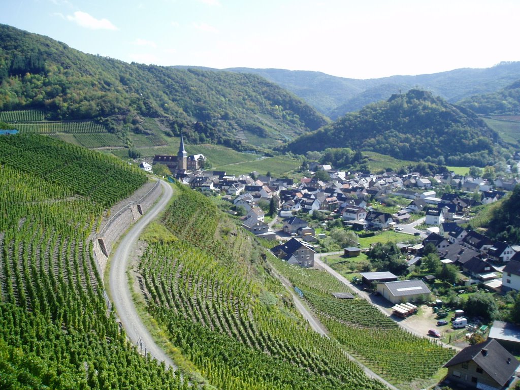 Auf dem Rotweinwanderweg im Ahrtal (Sept. 2007) by Heinz Gansweidt