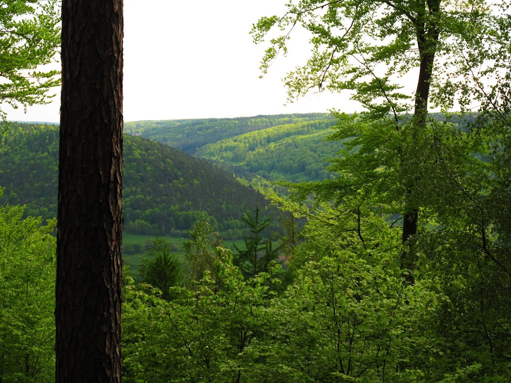 Blick vom Höheberg übers Erftal zum Schippachtal by lebola