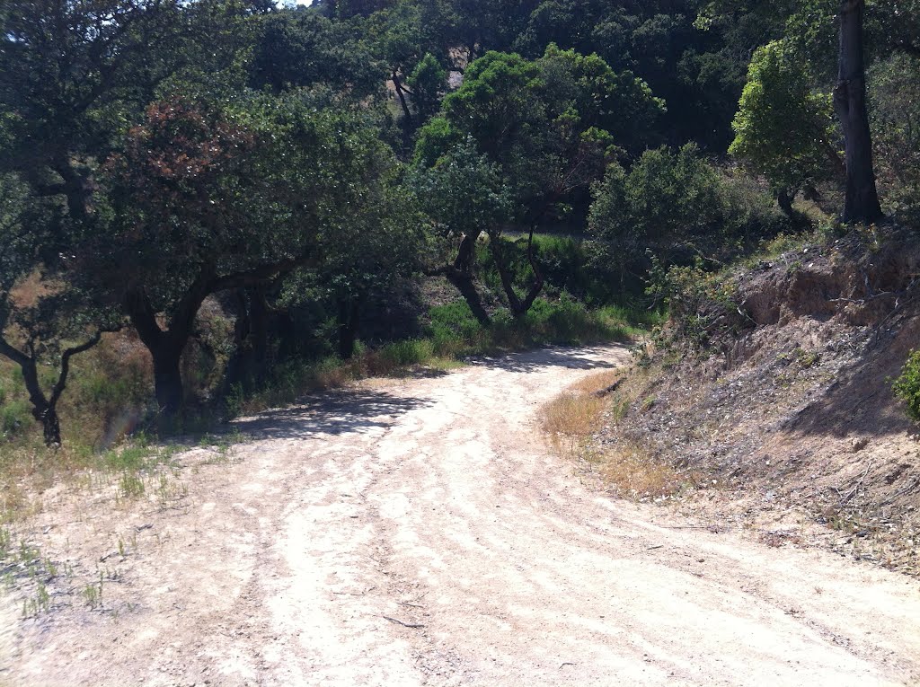 Queenstone view down trail by yellowpoint