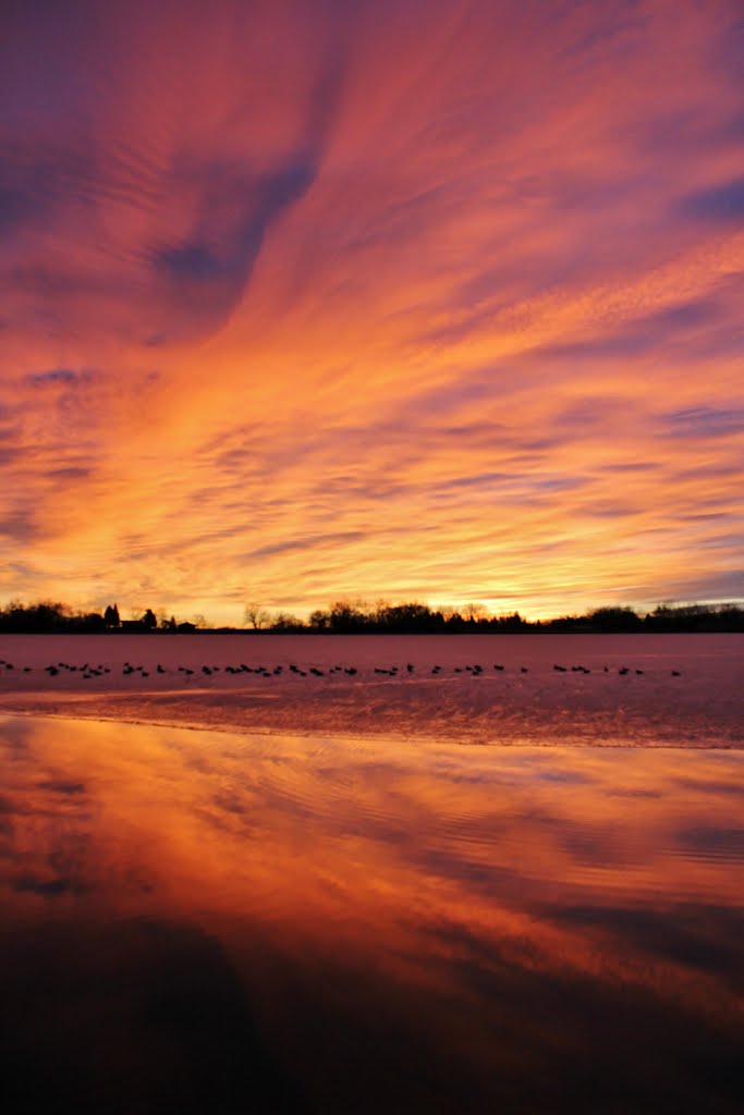 Colorado Sunrise, Burch Lake, Boulder County, Colorado by David Broome