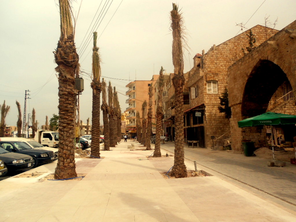 Tyre : Renovated Fishing Port Square with palm trees by cedarrick