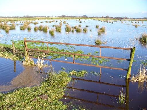 Roderwolde - Polder Matsloot by Jannes Aalders