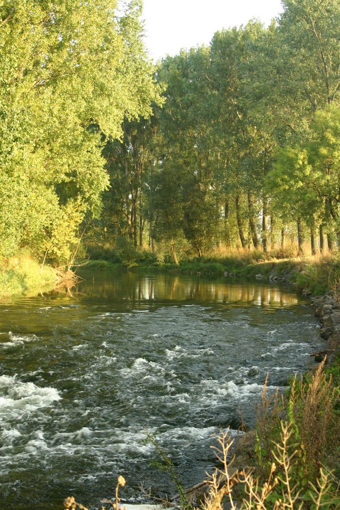 Leine-Stromschnellen bei Gronau by Pillendreher