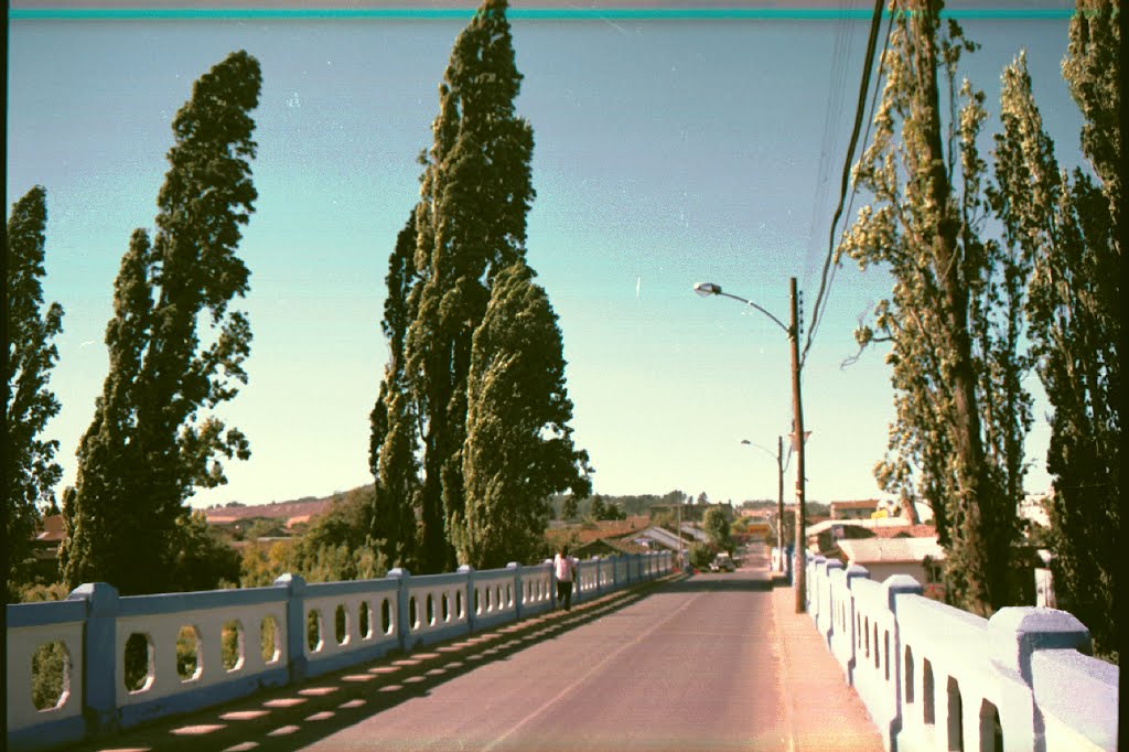 Puente Villaflorencia by FuentesEsperguel