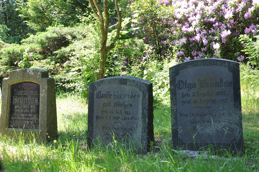 Impressionen vom Magdalenenfriedhof in Burgdorf by Medienhaus Burgdorf