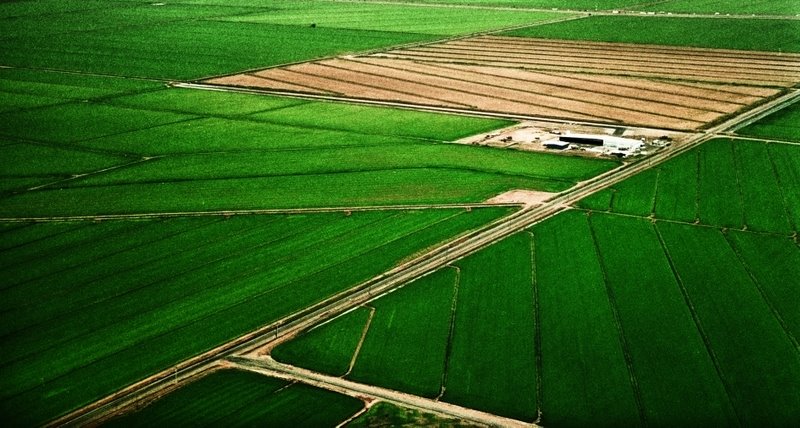 Colusa County, CA, USA by www.nolan-photograph…