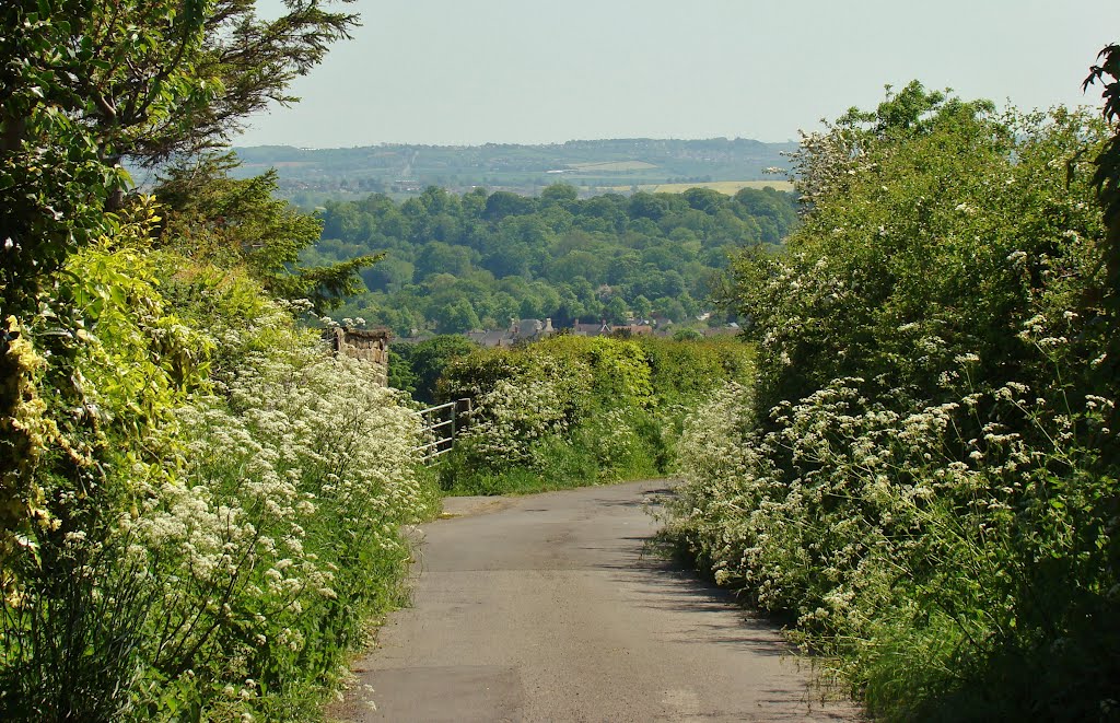 Looking down Gashouse Lane in Mosborough towards Eckington in Derbyshire, Sheffield S20 by sixxsix