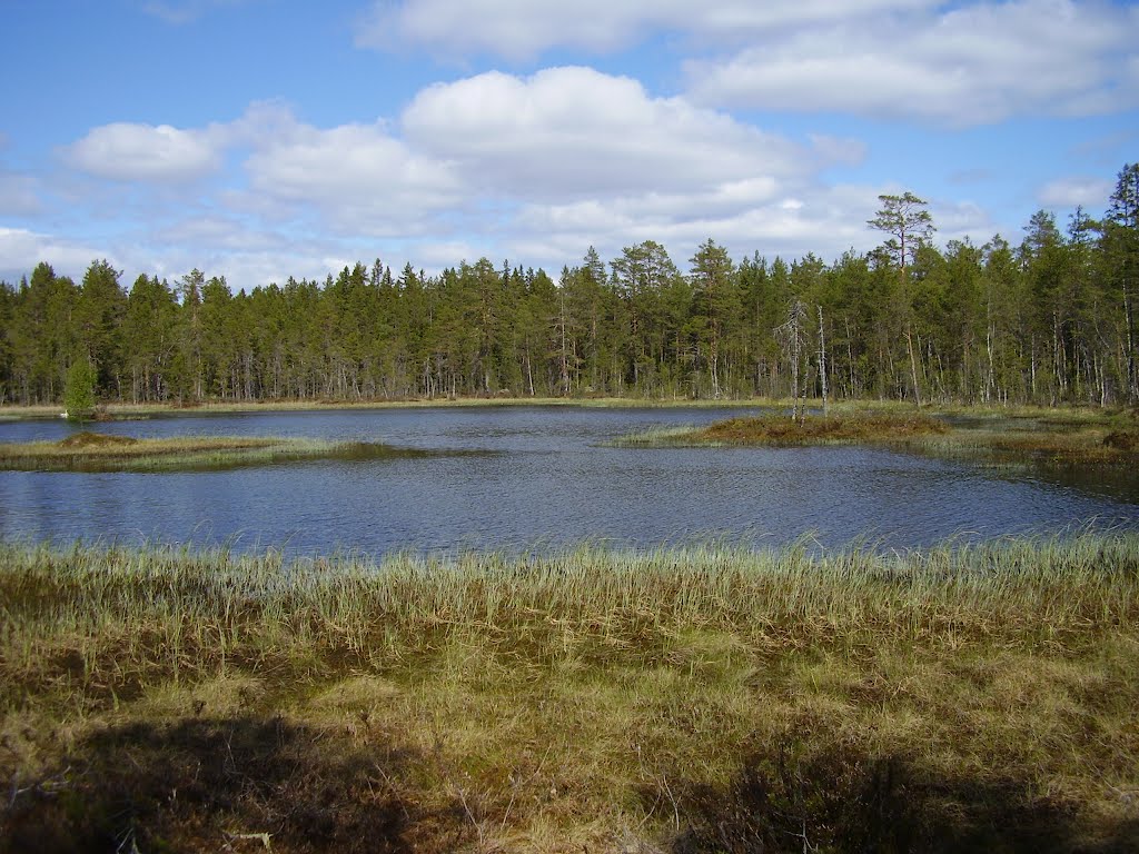 A lake near Norrbyn, Västerbotten, May 2012 by JirkaN