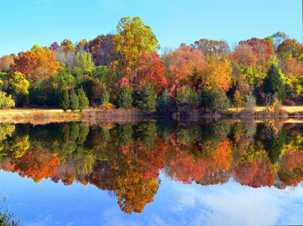 Bridgewater Fall colors by Jeff Pranger