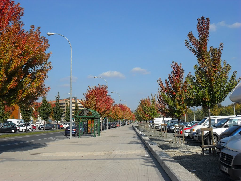 Pamplona en otoño by Hakka