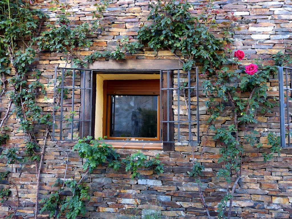 El Atazar: Una ventana rodeada de vida by benjamin M. M.