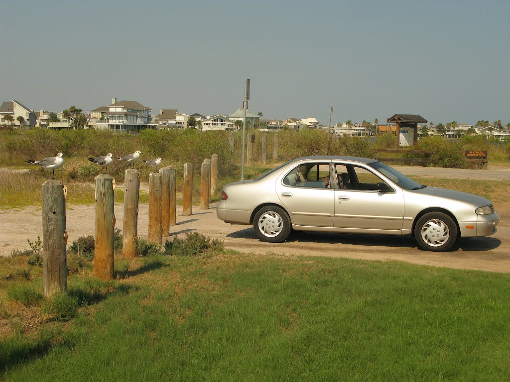 Galveston Island State Park by ADi