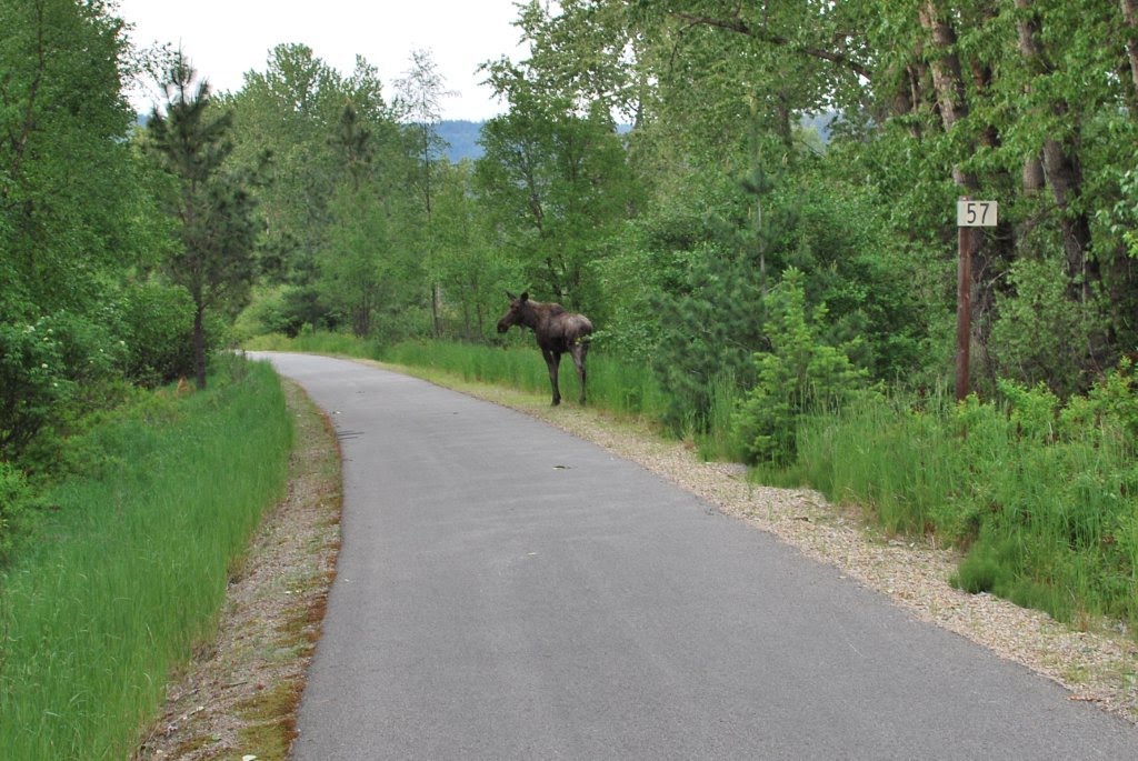 Bike Trail by Keith Brown