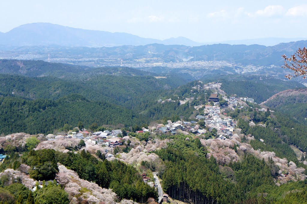 上千本金峯山寺蔵王堂 by scenery2012