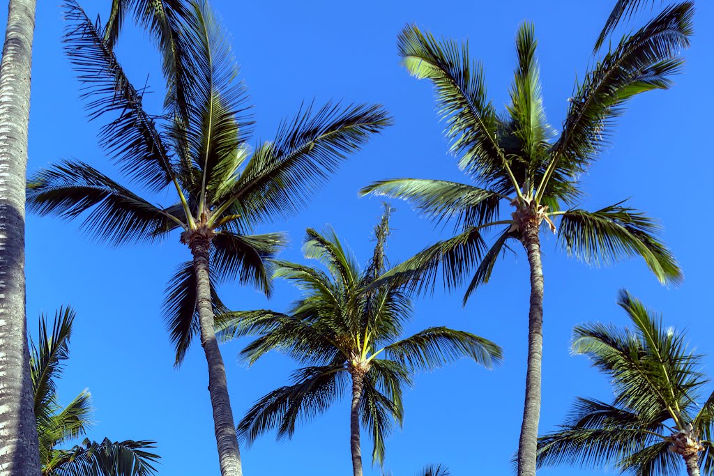 One Alii Beach Park -- Molokai by Mark Kortum