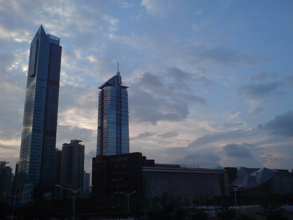 Shenzhen Library by dapter