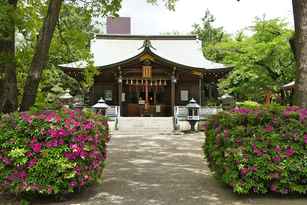 疣水神社 by scenery2012