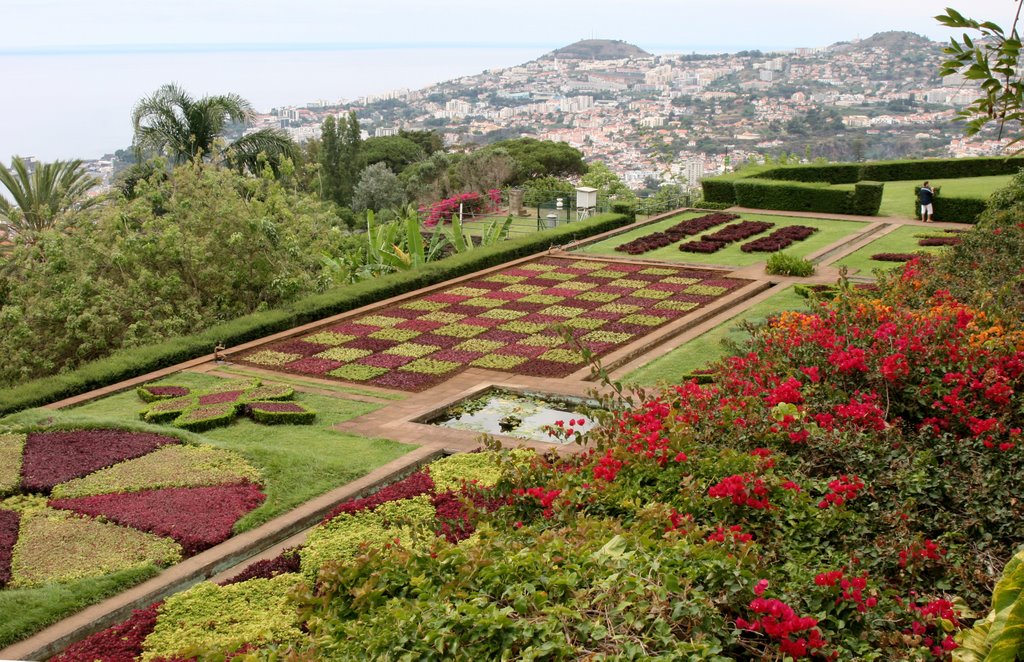 Funchal Botanico 16 by Alberto de la Cruz G…