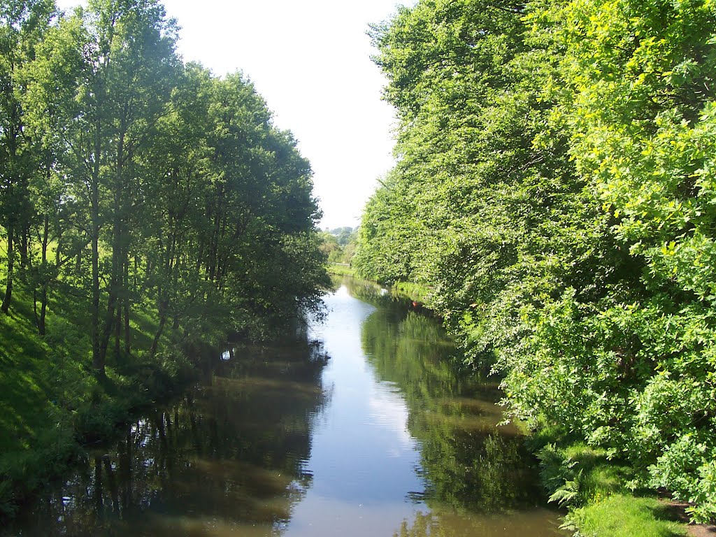 View From Bridge No 91B by Mickangler