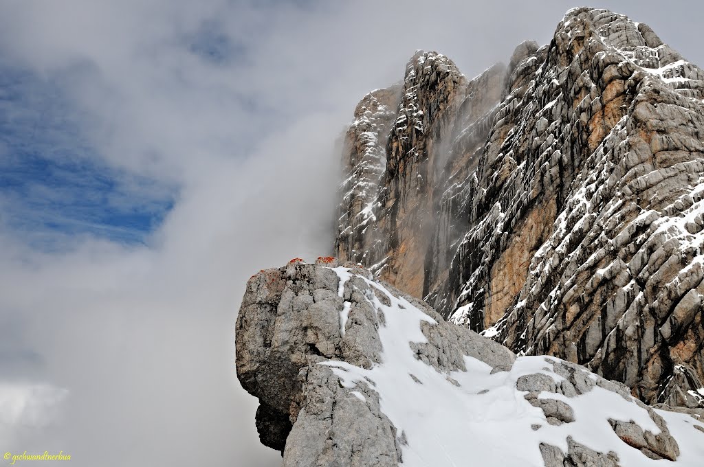 Blick in die Dachstein-Südwand by gschwandtnerbua