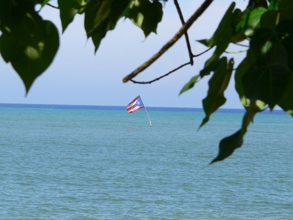 Puerto Rico Flag by david.medero