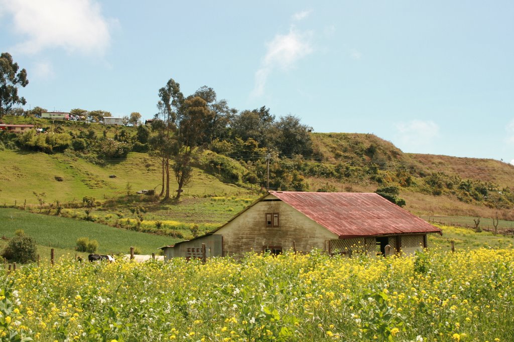 PAISAJE DE CARTAGO by Flore Víquez