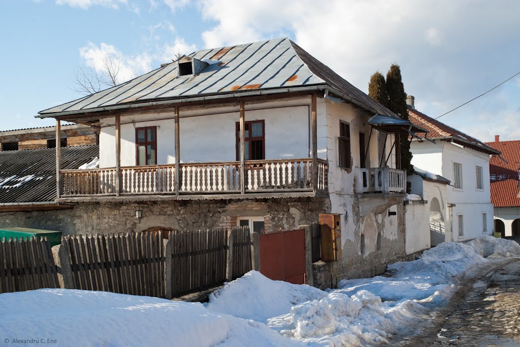 Casă din Pietroșița by Alexandru C. Ene