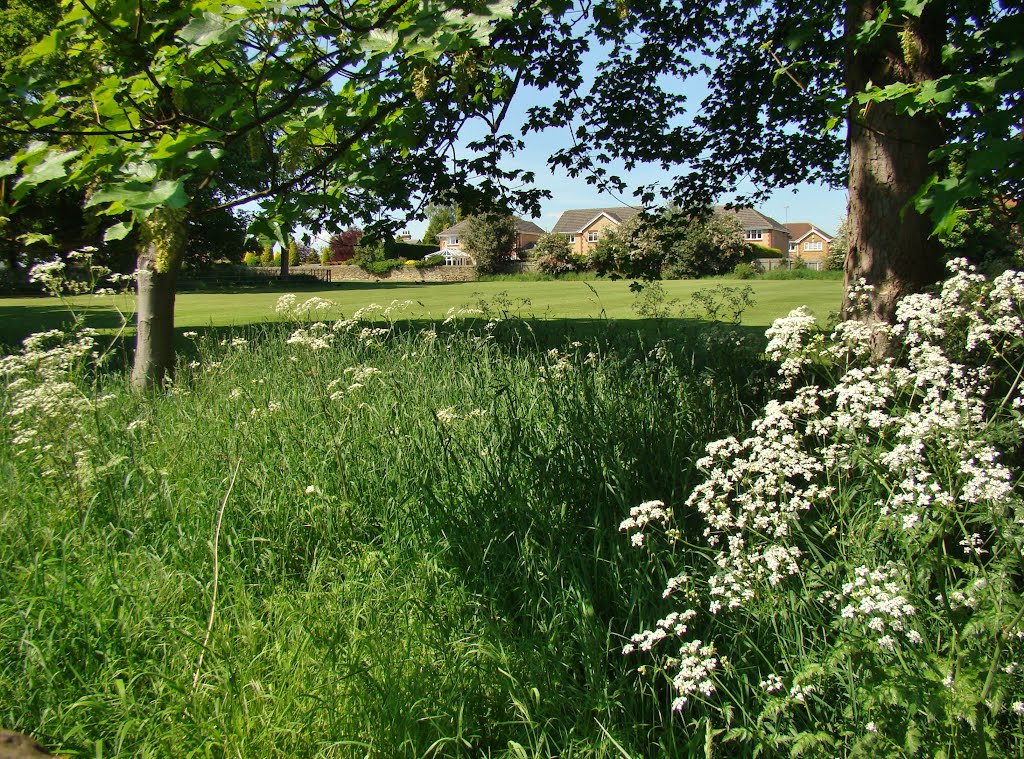 Looking over green space in spring from Hallside Court, Mosborough, Sheffield S20 by sixxsix