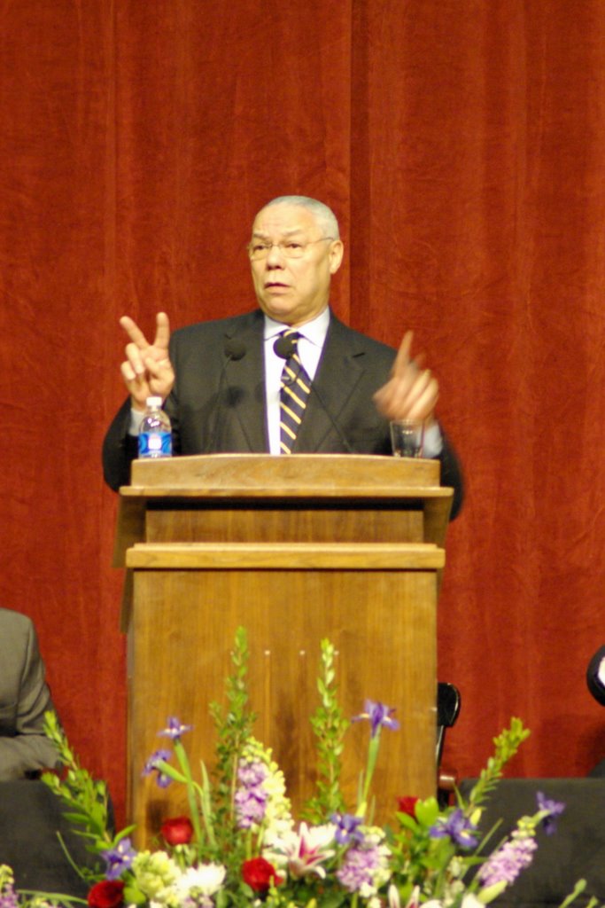 Colin Powell by P. Harvey