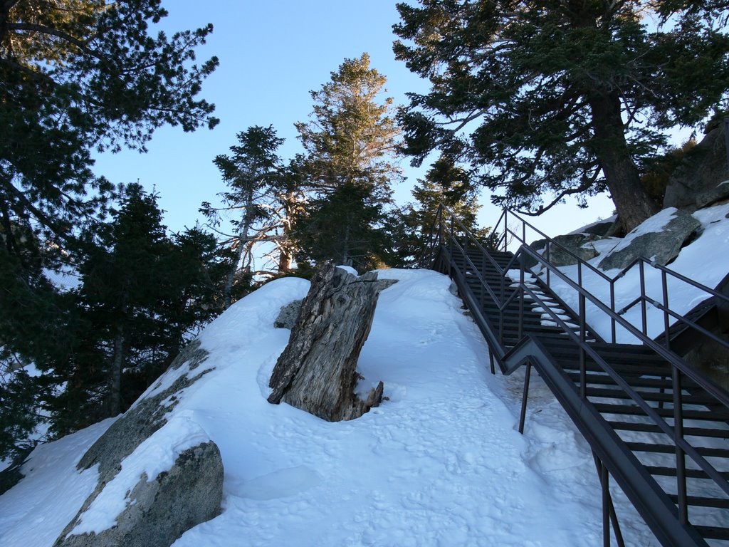 Stairs to Grubb's view by saxxon