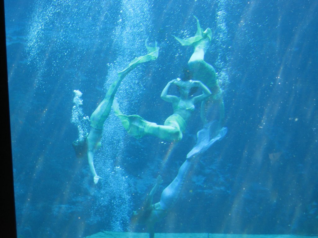 Mermaids in Weeki Wachee Spring by ClwbchBabycakes