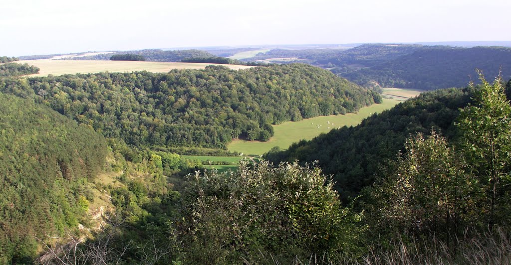 La vallée du Rongeant vue du site de Mélaire 15-9-2005 by devot