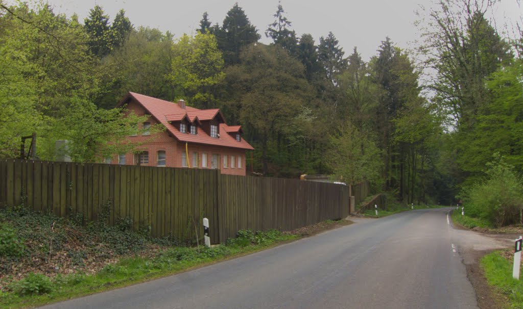 Nettelstedt, "Ölberg", April 2012 by Ralf Jankowski