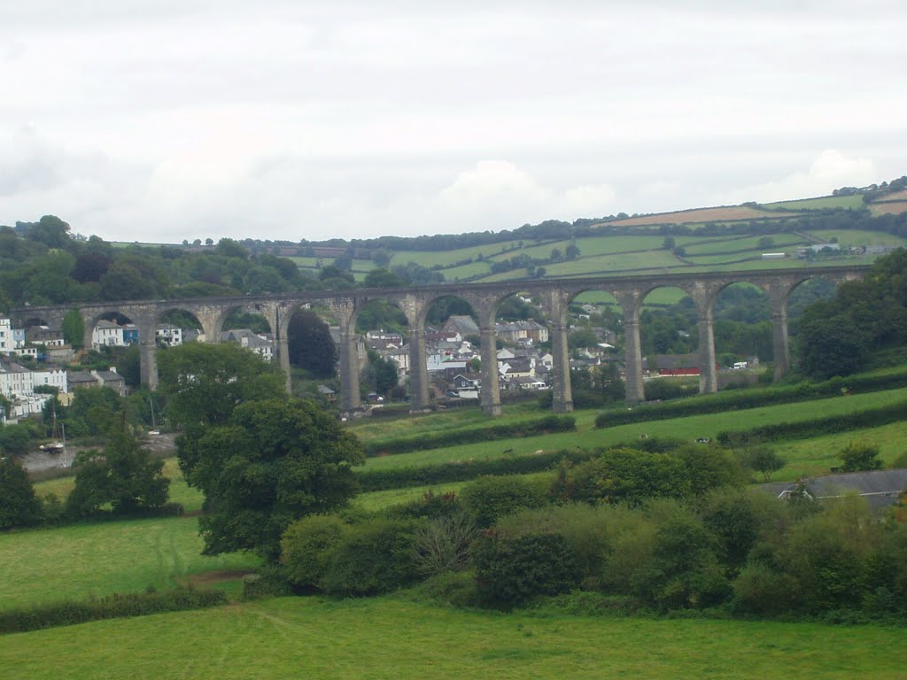 Calstock Railway Viaduct by Ron Mayes