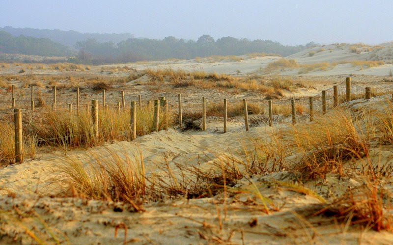 Coucher du soleil sur la dune by Cathy Baillet