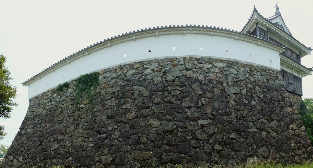 Stone wall of Fukuchiyama-jyo Castle by Yuichi Azuma