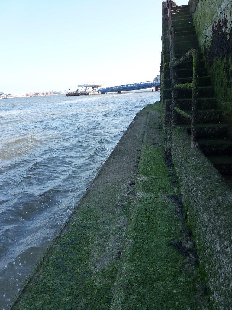 River Wall, Looking South. by Peter Hodge