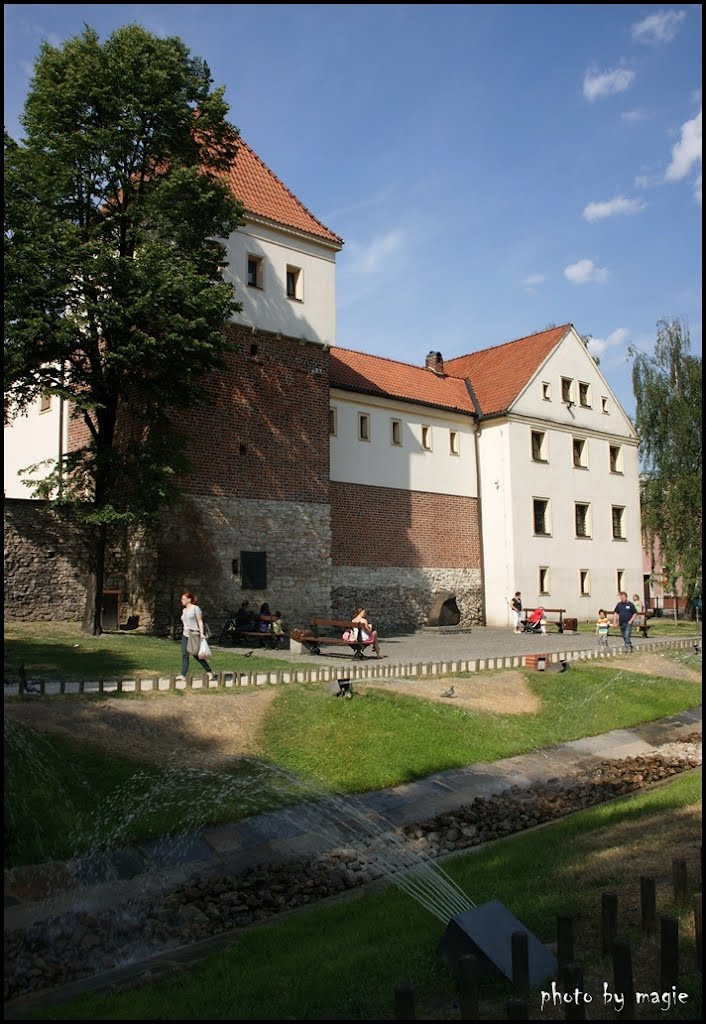 GLIWICE. Zamek Piastowski i "fosa"/Piast castle and the "moat" by Krystyna Koch-magie*