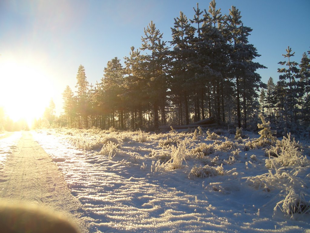 Finnskogvinter by Jan Edvardsen