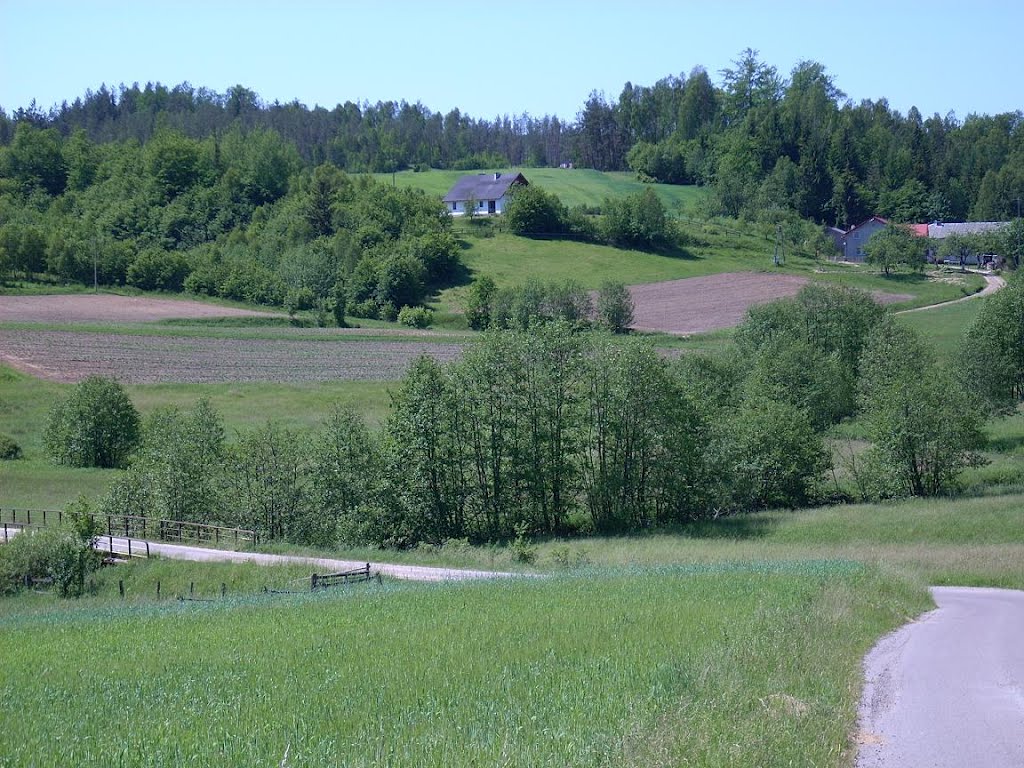 Strzepcz na Kaszubach by Bożena  B.