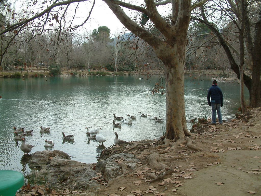 Llac d'Anna by Joaquim Naval